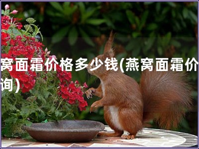燕窩面霜價格多少錢(燕窩面霜價位查詢)